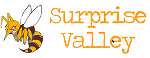 surprise valley logo